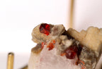 A close-up of a natural red garnet crystal  featuring a cubic red gemstone set in beige and white mineral matrix.