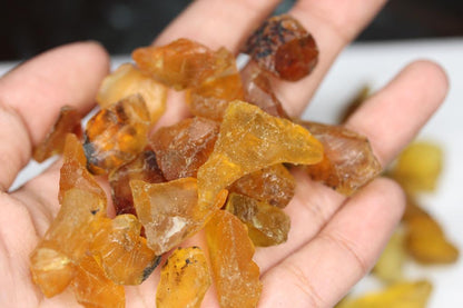 17.6 grams uncut Amber Gemstones | Cabbing Rough Gemstones