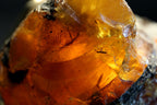 A close-up macro shot of a translucent amber