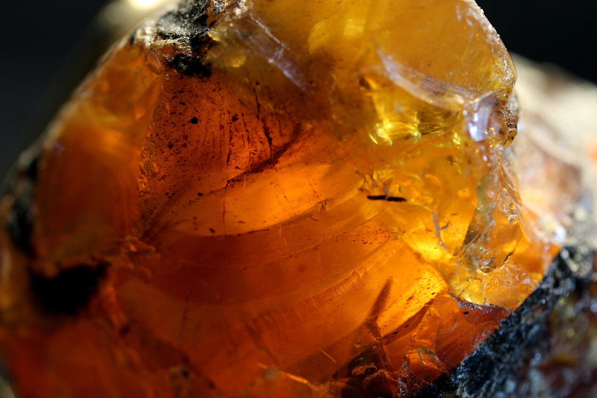 A close-up macro shot of a translucent amber