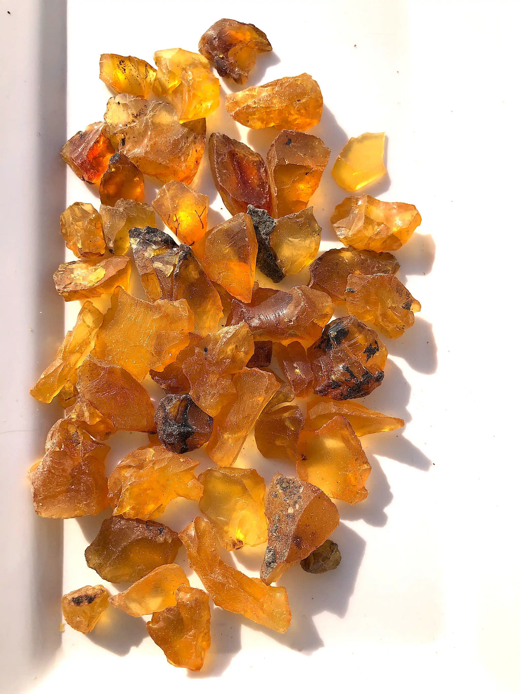 40 Grams Natural Fossilised Amber With Plant Debris Traces and Mineral Specks