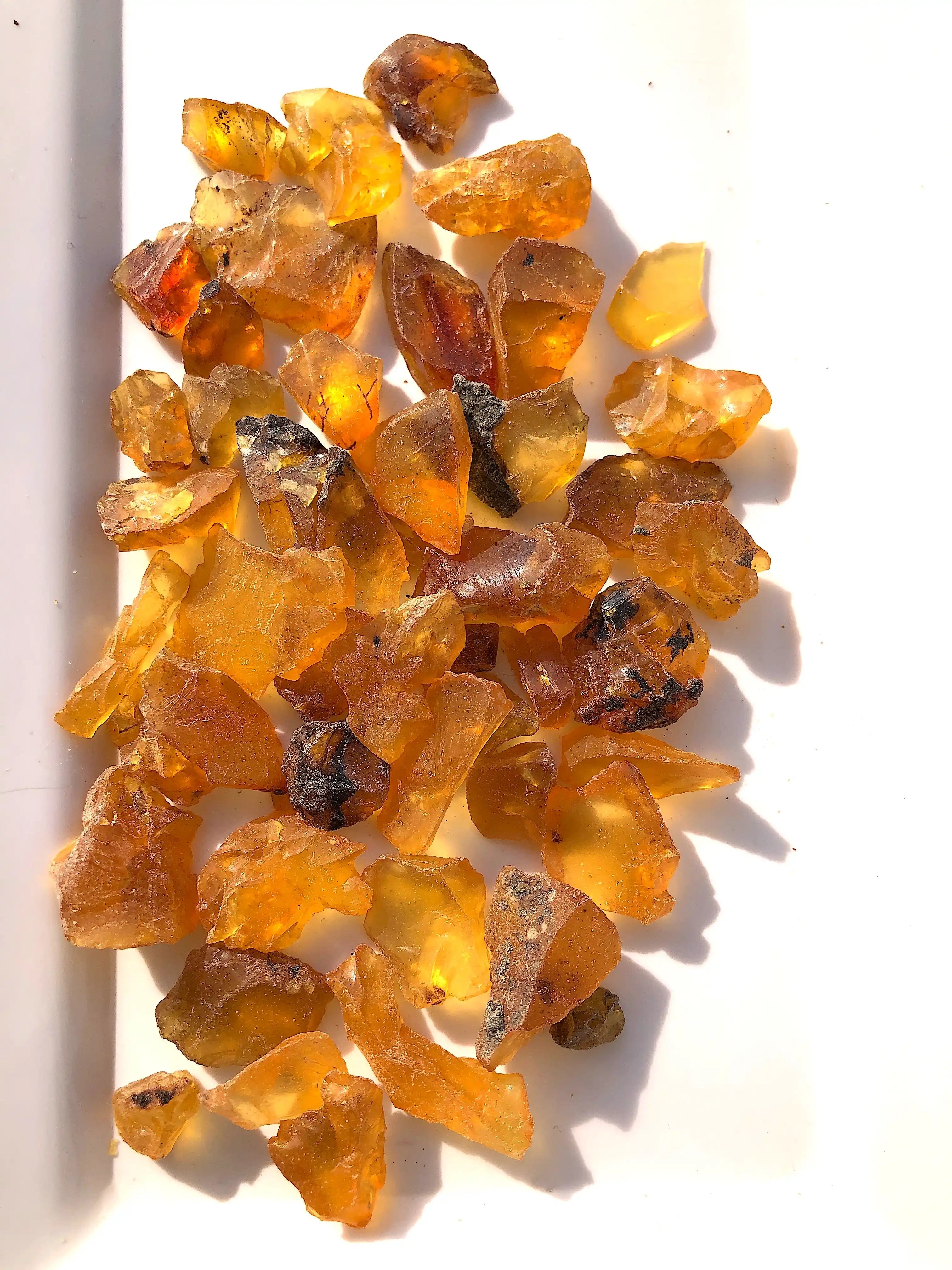 40 Grams Natural Fossilised Amber With Plant Debris Traces and Mineral Specks