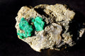 A rough natural mineral specimen with bright green emerald crystals embedded in a pale beige and gray matrix,