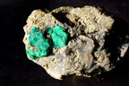A rough natural mineral specimen with bright green emerald crystals embedded in a pale beige and gray matrix,