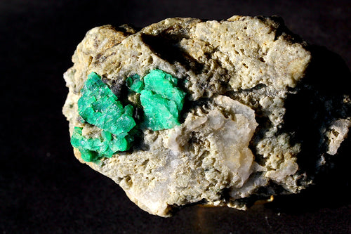 A rough natural mineral specimen with bright green emerald crystals embedded in a pale beige and gray matrix,