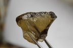 33.2 Grams Rough Yellow Citrine Gemstones for Cutting