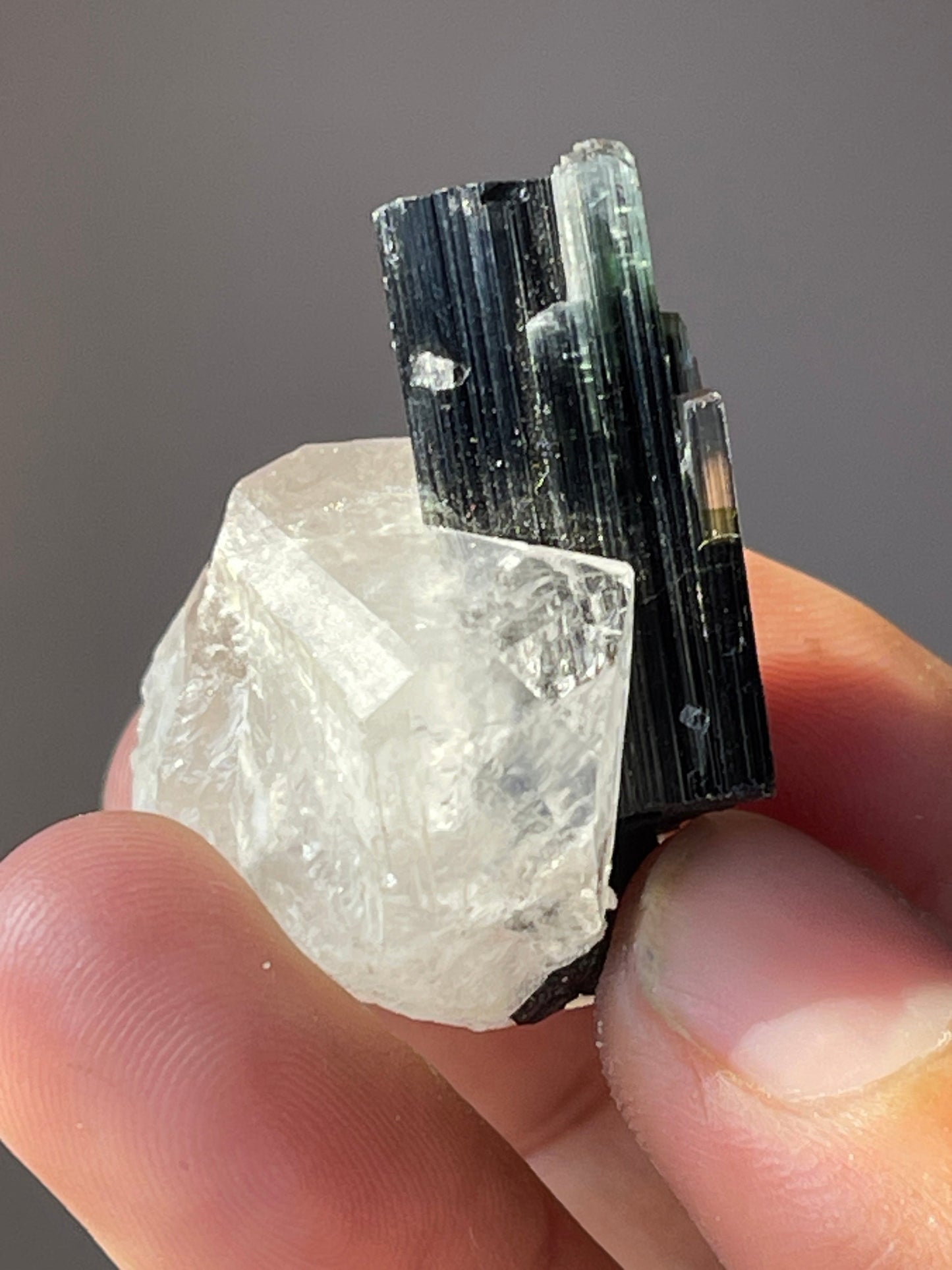 17 gram Stak Nala Tourmaline on Quartz Crystal from Haramosh Mount, Gilgit Pakistan