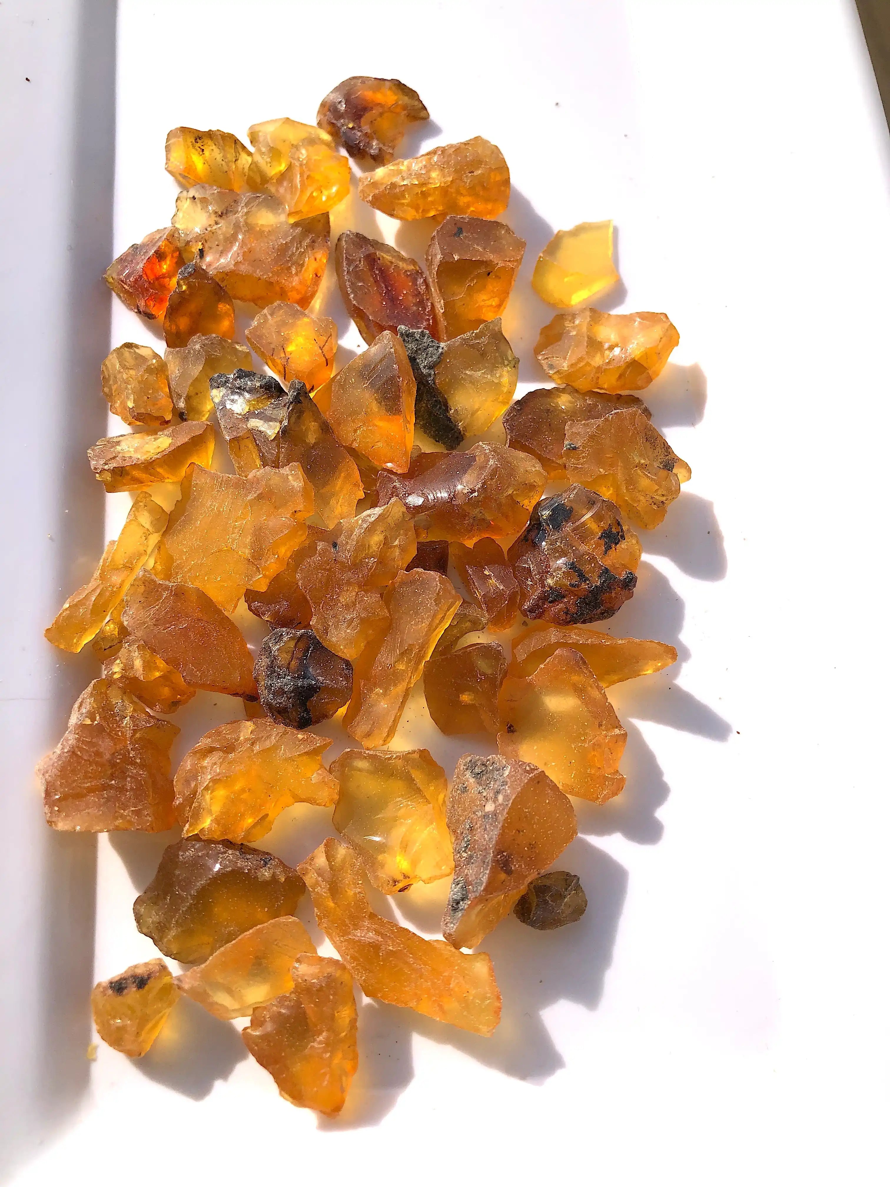 40 Grams Natural Fossilised Amber With Plant Debris Traces and Mineral Specks